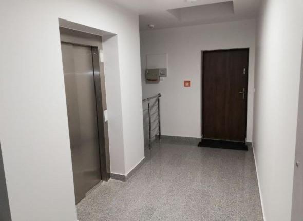 Apartament 80M2 Z 70M2 Tarasem -W Pelni Wyposazony - Wyjatkowe Centrum Miasta Włocławek Екстериор снимка